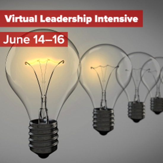 Picture of Virtual Leadership Intensive 2021