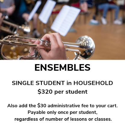 CMS Ensembles 3 Single Student in household