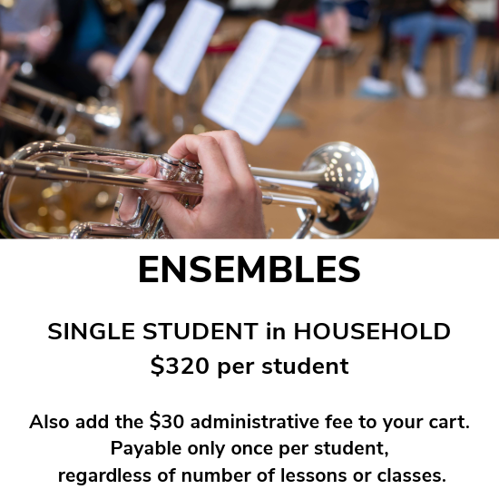 CMS Ensembles 3 Single Student in household